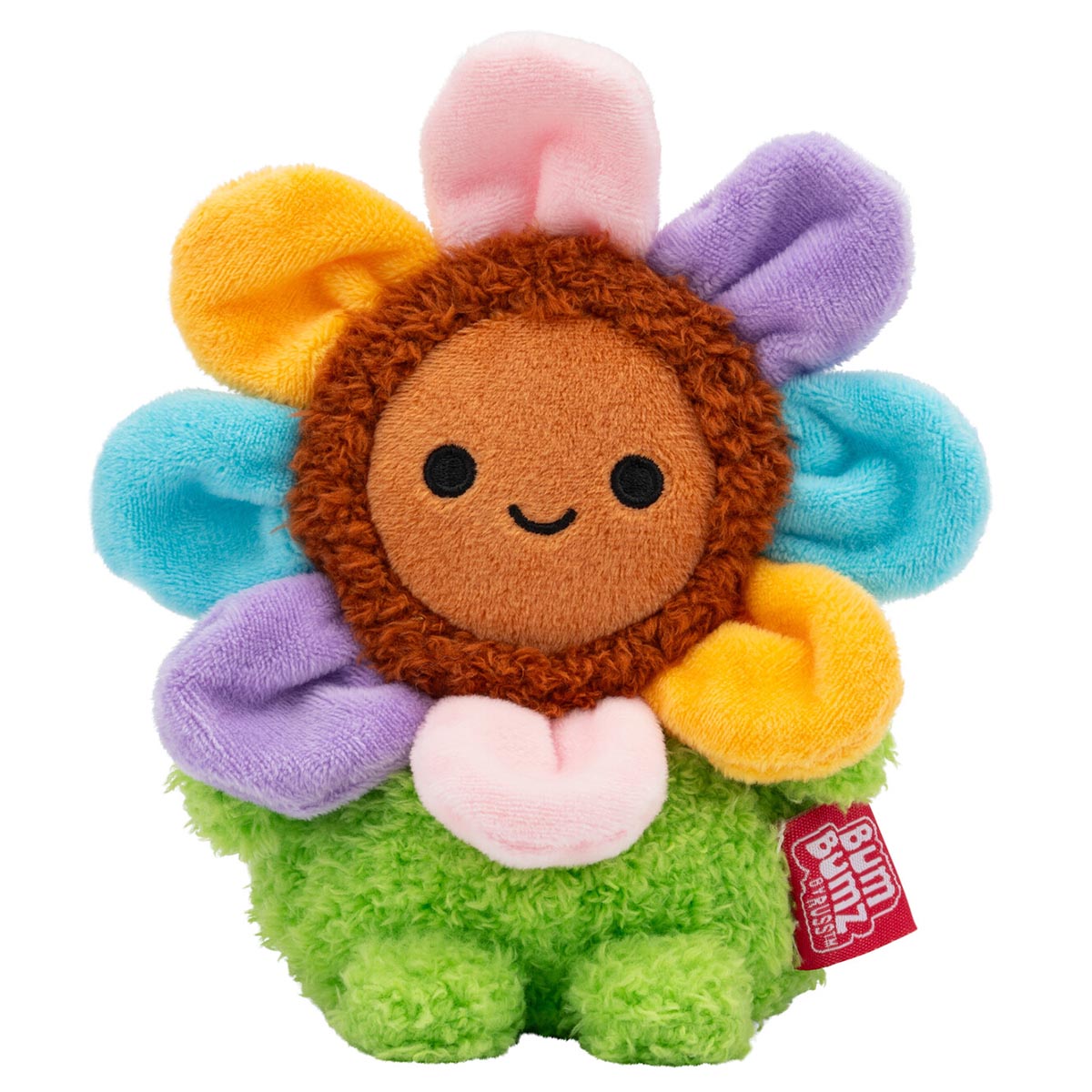 Gerbera Daisy Grayce